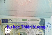 KẾT QUẢ VISA THÁNG 7,8 NĂM 2024