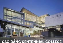 Trường Cao đẳng Centennial College: Chương trình, chi phí 2024