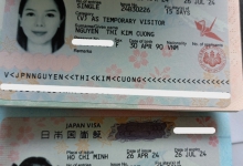 KẾT QUẢ VISA NHẬT THÁNG 5 NĂM 2024